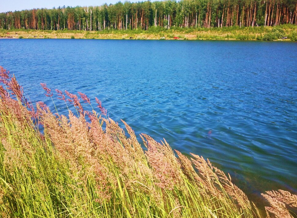 У озера