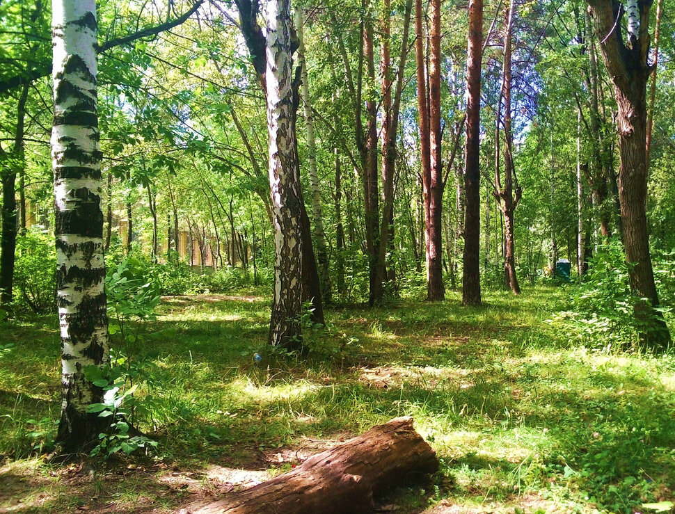 В середине лета