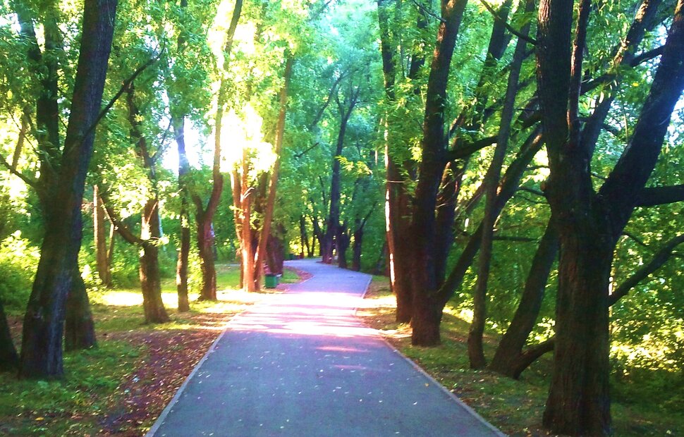 В утренних лучах