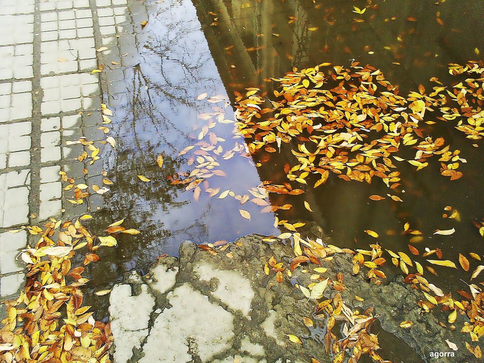mirrors of autumn