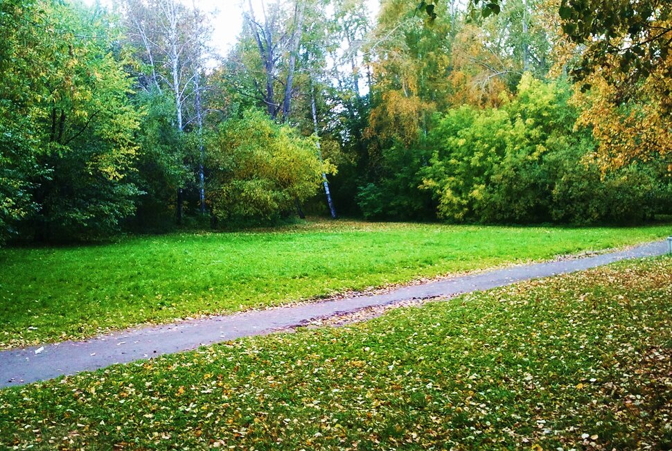 По осенней дорожке