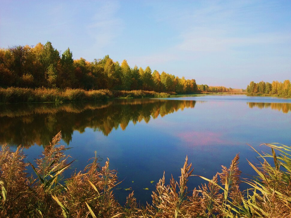 У тихой реки