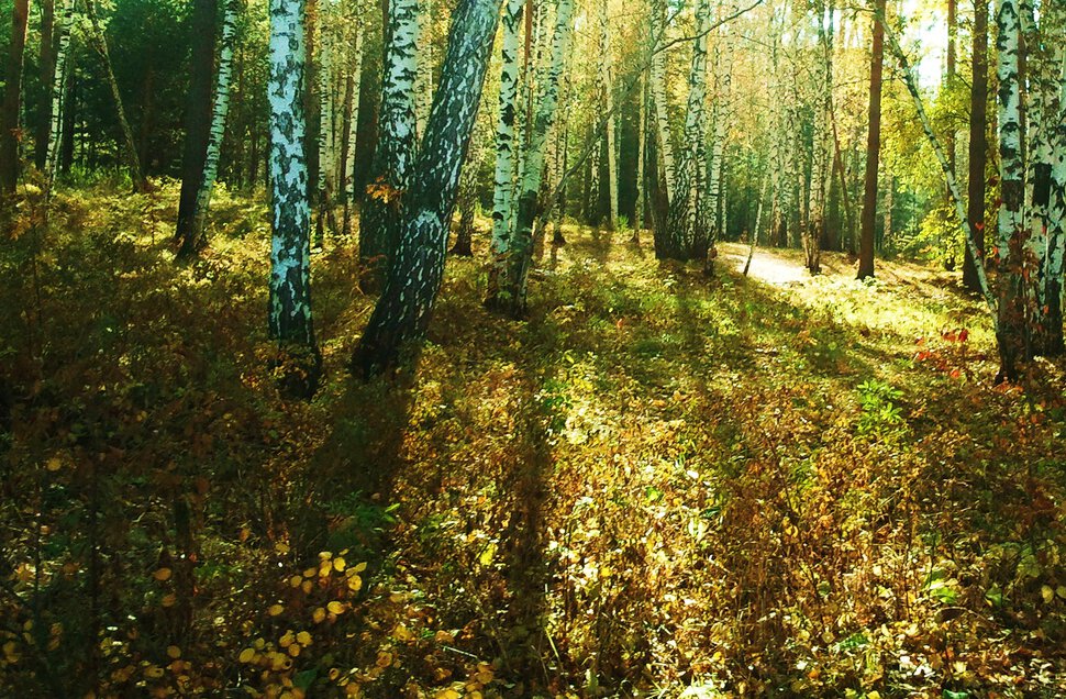 Под осенними лучами