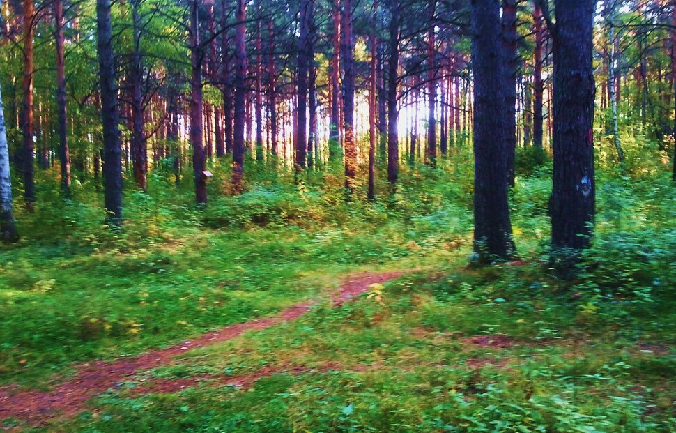 Сентябрь