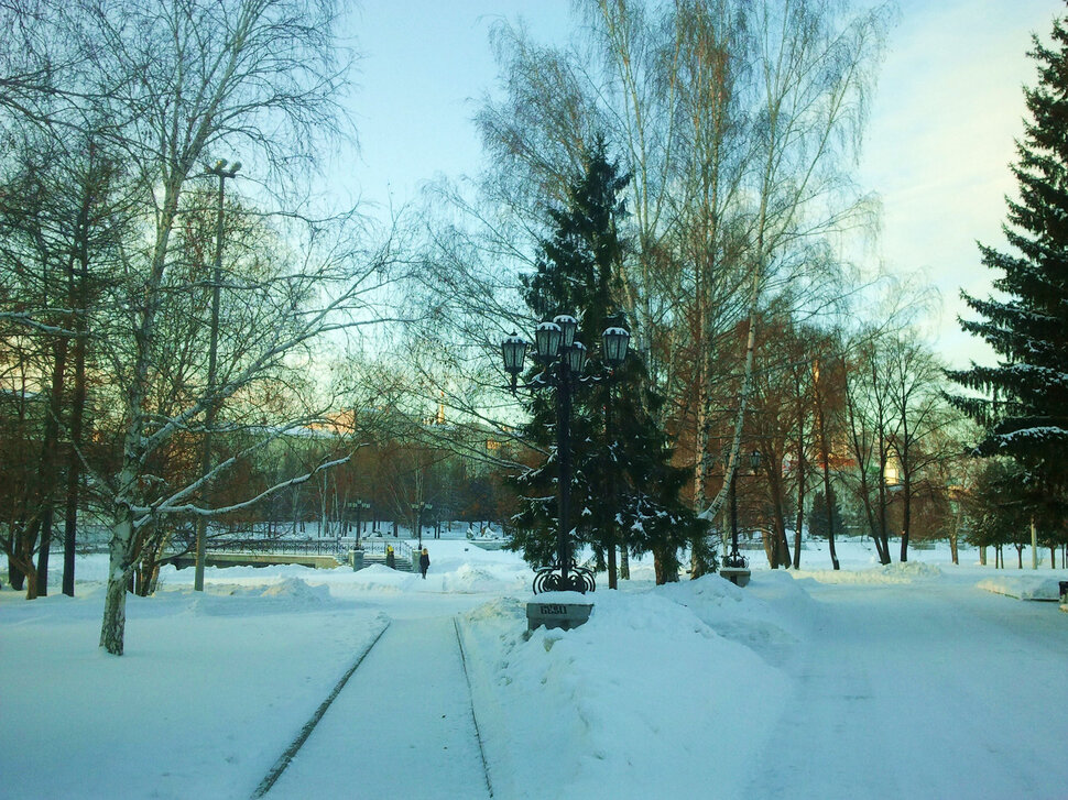 В сквере зимой