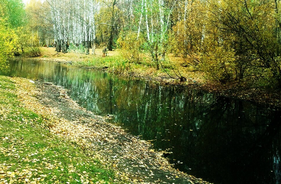 В лесу в октябре