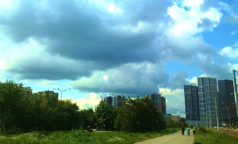 В парке летом