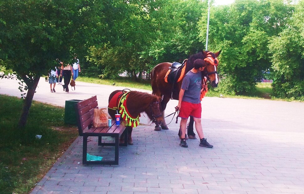 В парке летом