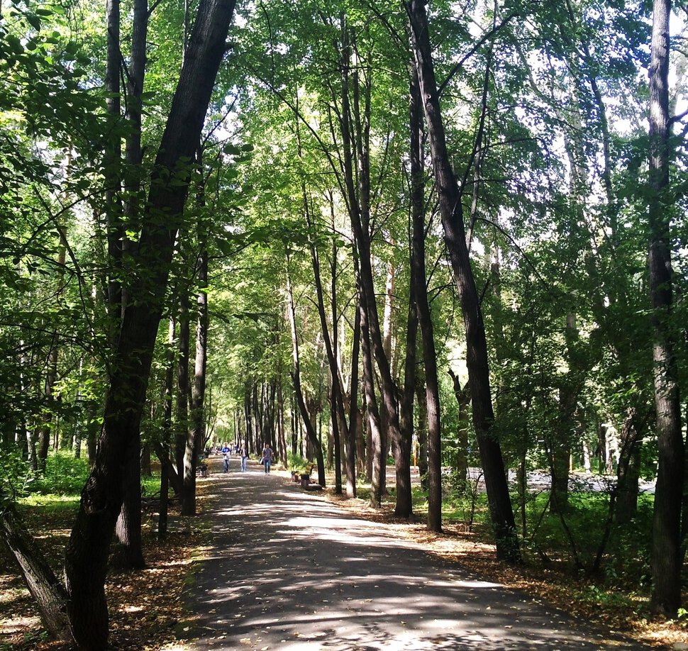 В уралмашевском парке