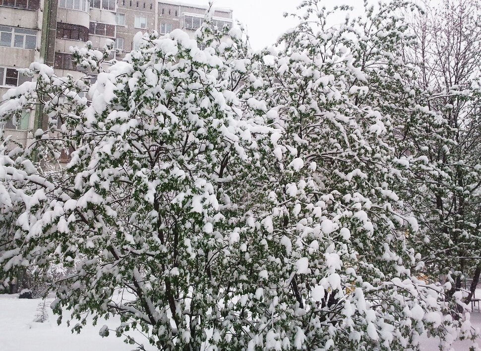Во дворе