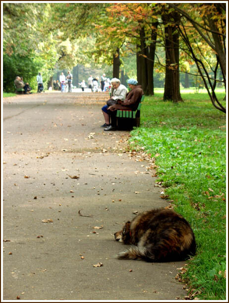 Москва. Ботаника. Осень