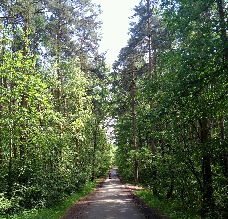 Дорога на пляж у озера Шарташ