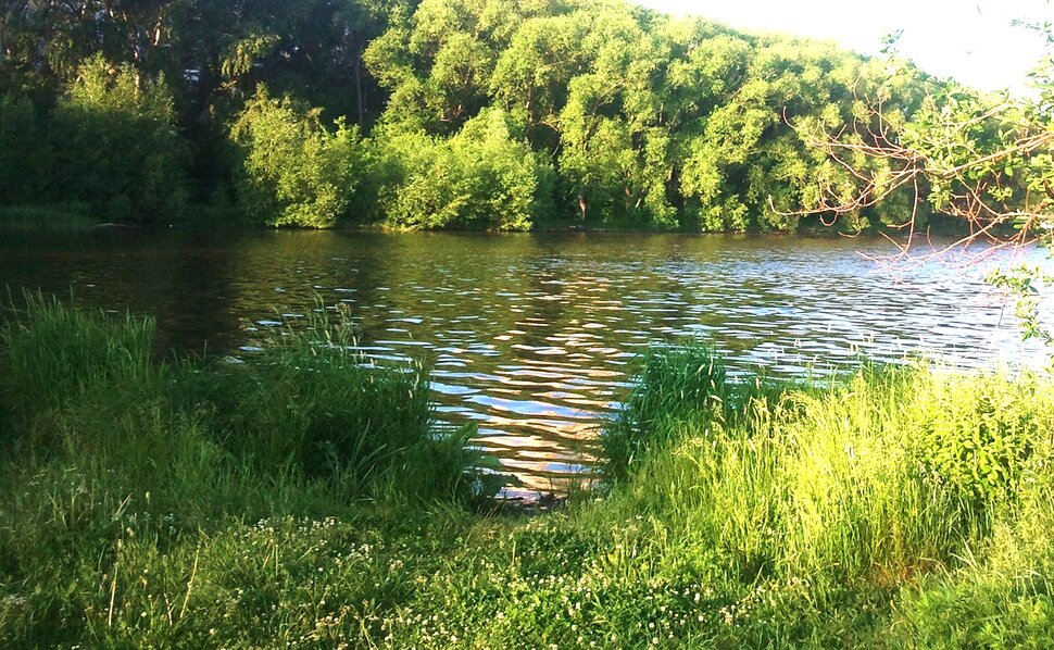 У реки
