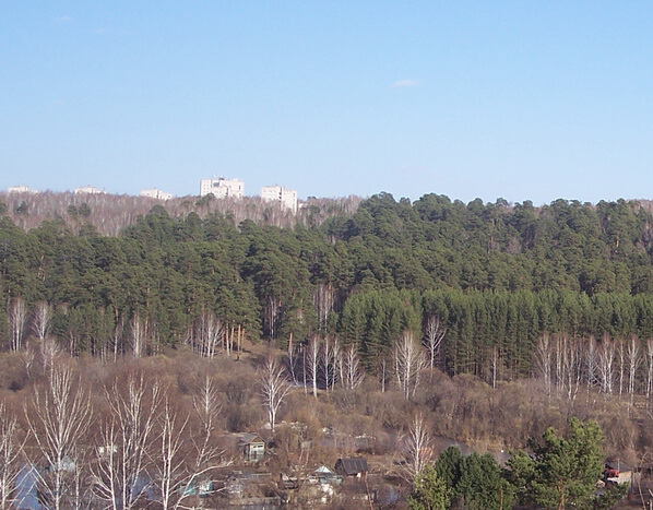 Белеют дома Академгородка Томска