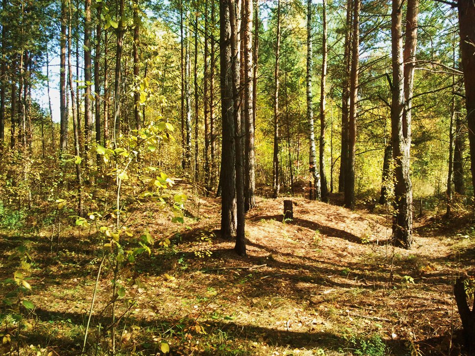 По горкам осенью