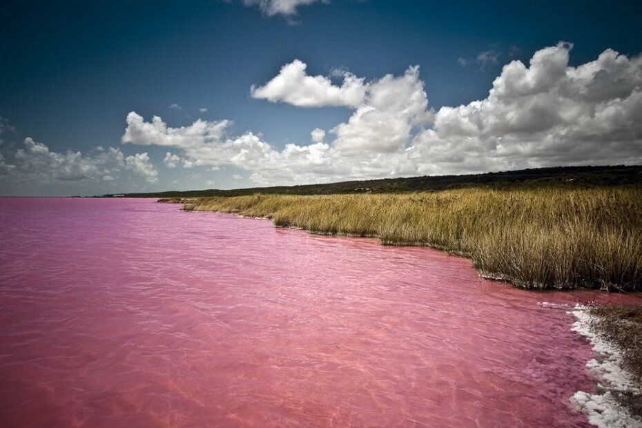 Розовое озеро Хильер