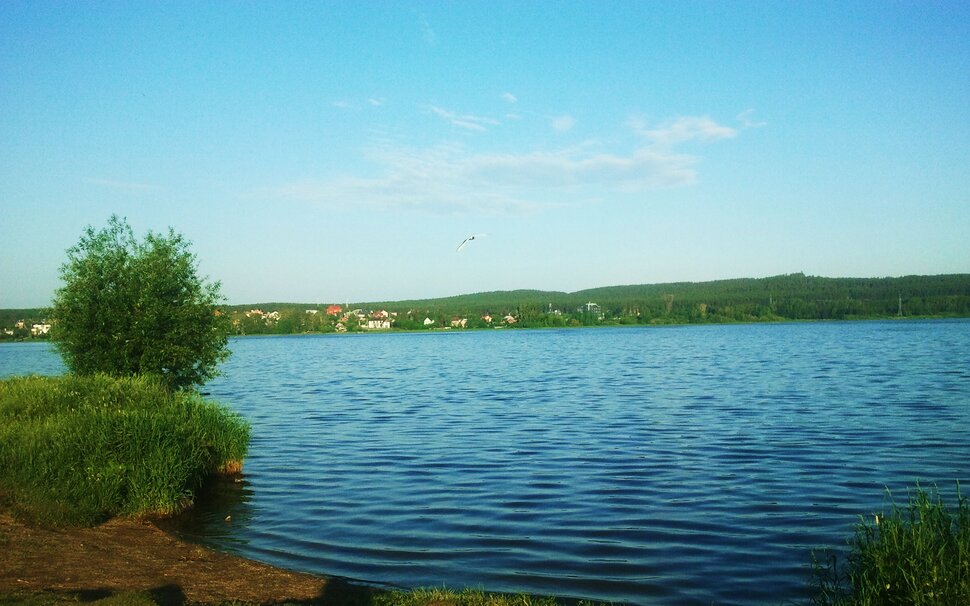У реки