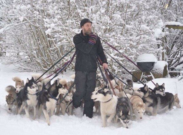 Ну всё, теперь главное не встретить кошку