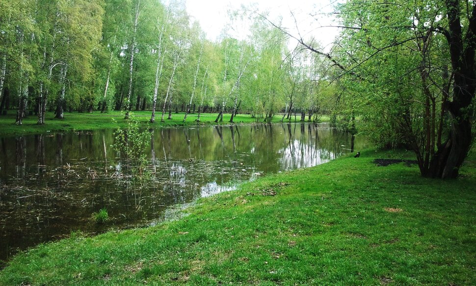 В майском лесу