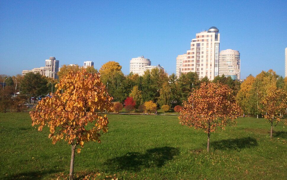 В скверике