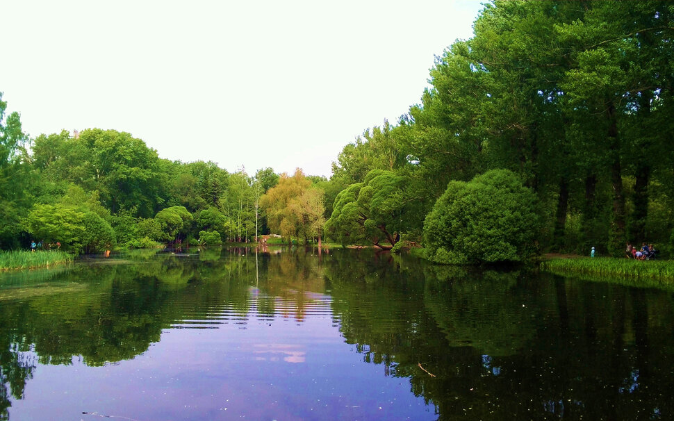 Парковый пруд