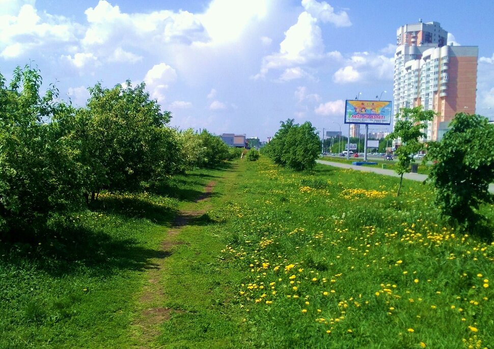 По бульвару