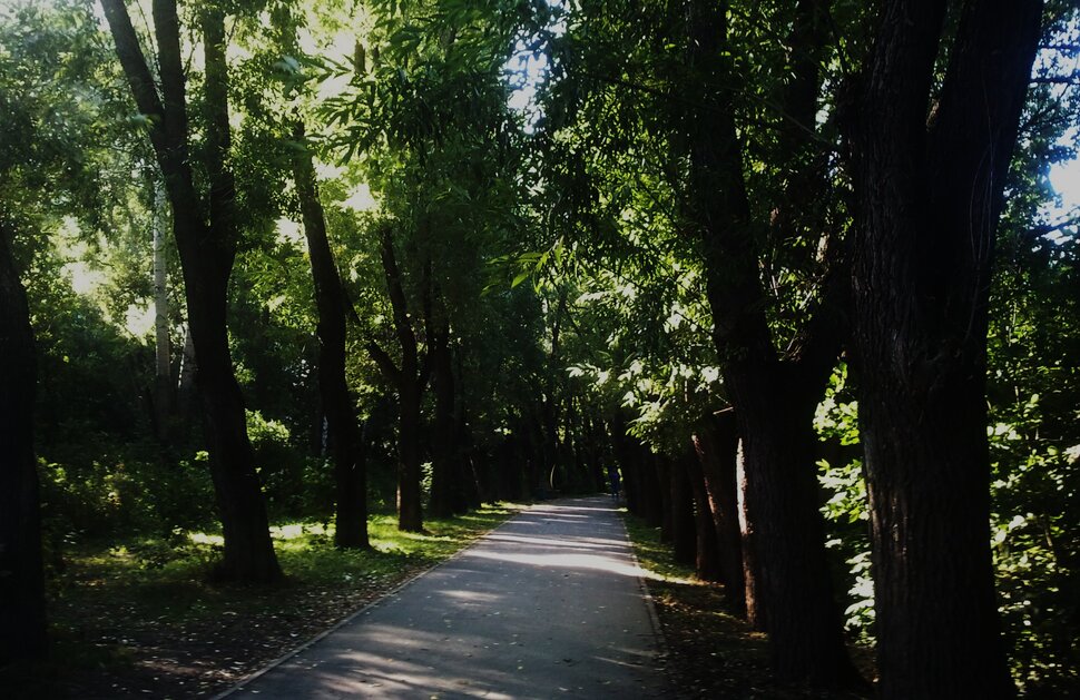 По дорожке