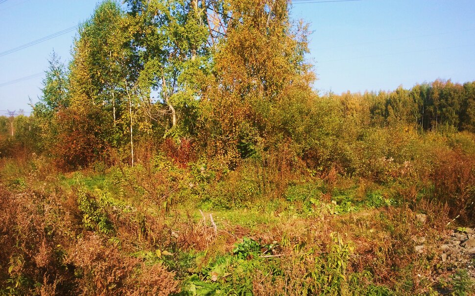 Сентябрь