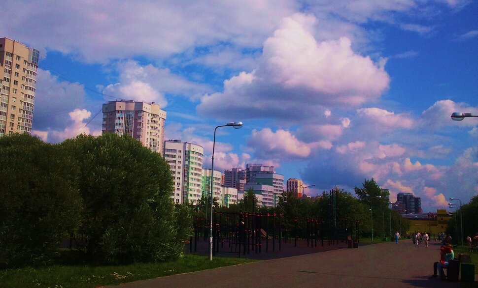 В парке летом