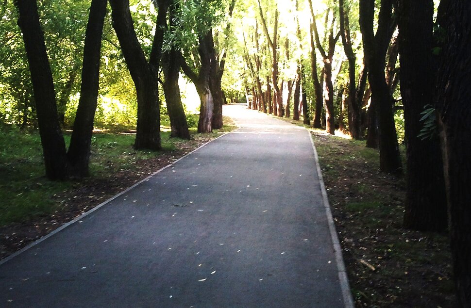 В тенечке
