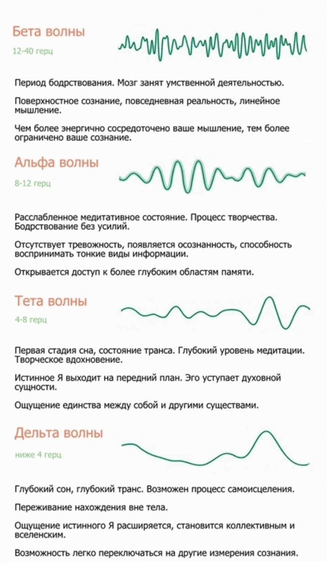 Частоты головного мозга