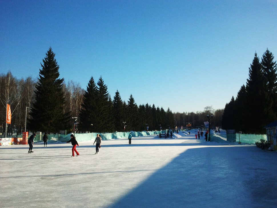 В зимнем парке