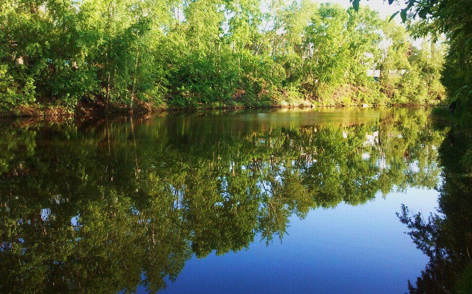 Вода-зеркало