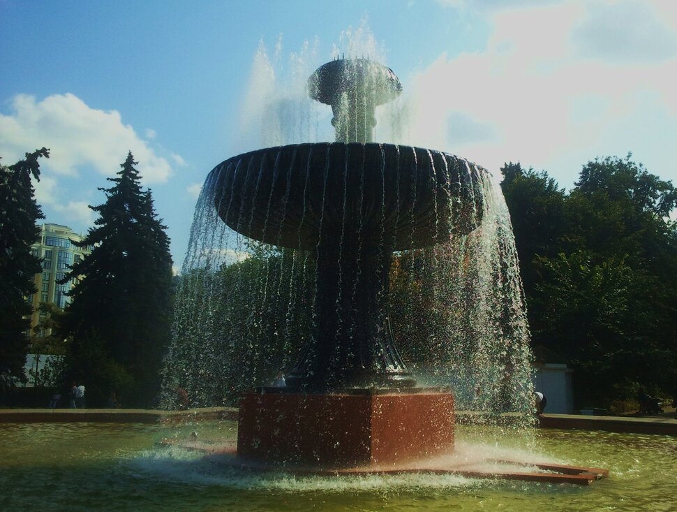 В дендрарии