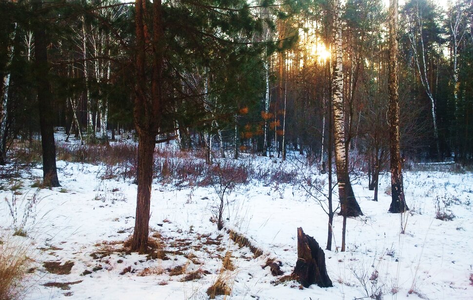В холодных лучах