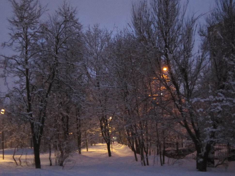 Зимним вечером в парке