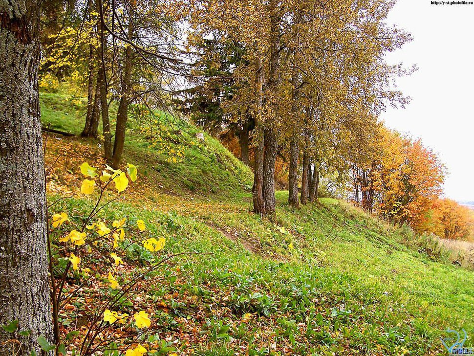 Красота осенней природы