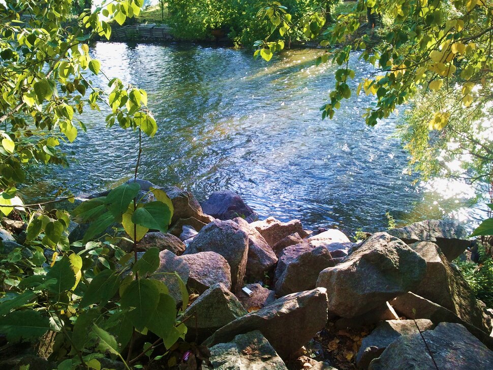 Осенью у реки