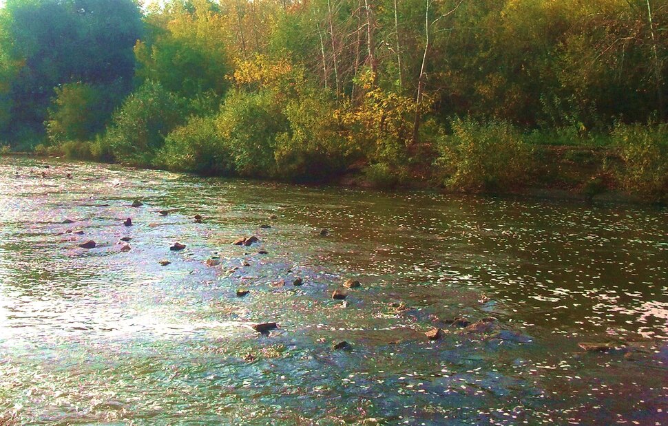 Осенью у реки