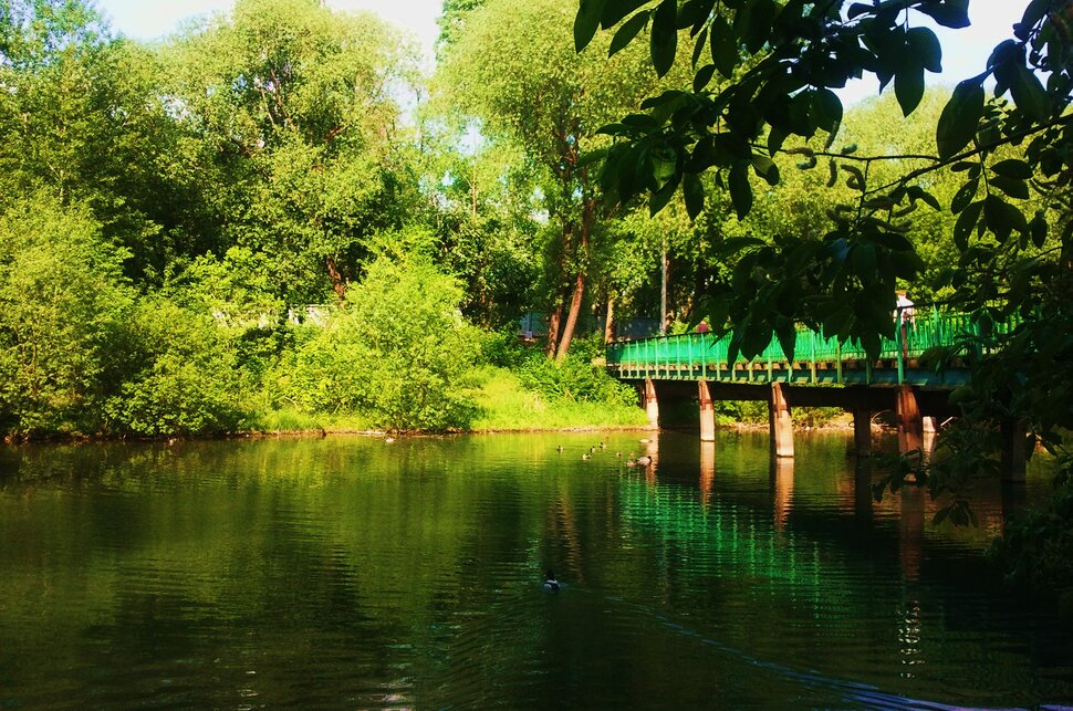 У реки у мостика