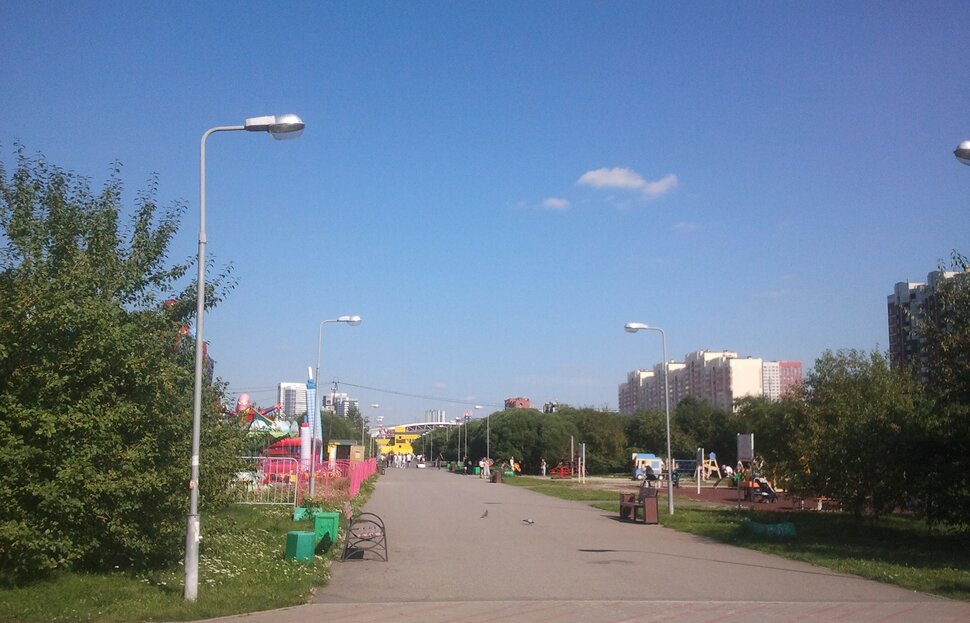 В парке летом