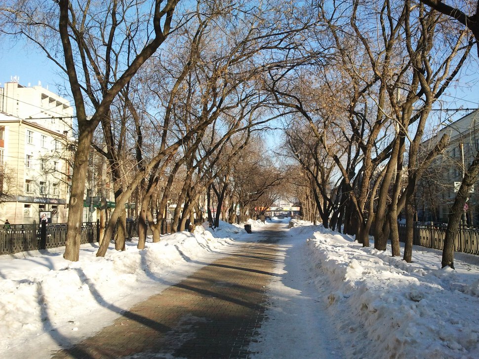 По главному проспекту в морозный день