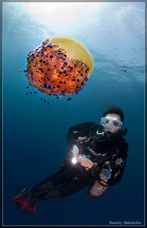 Анатолий Белощин. Моря, океаны, озера