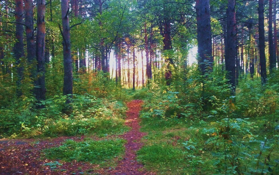 Сентябрь