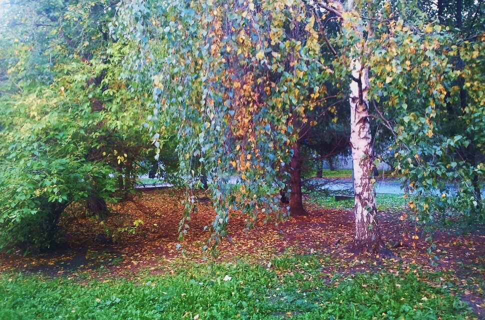 Сентябрь