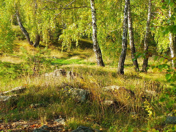 Природа Урала. Осень 2012