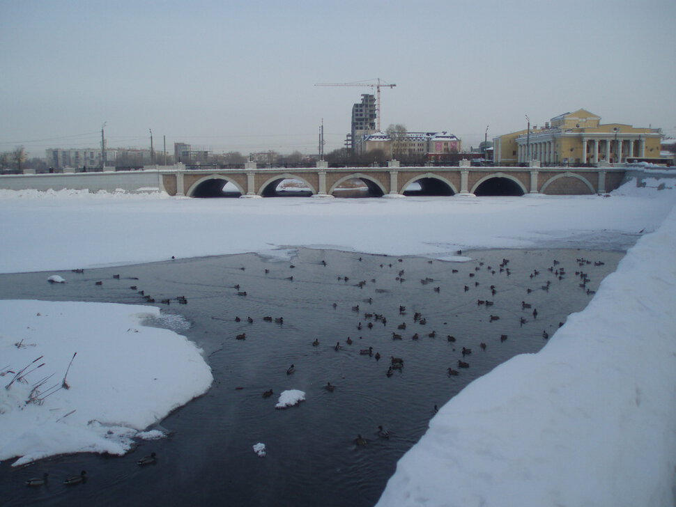 Утиное пристанище