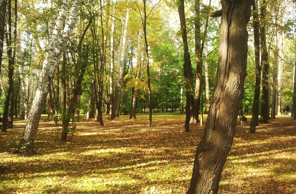 Сентябрь