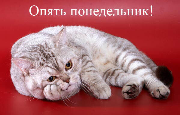 Шалуны