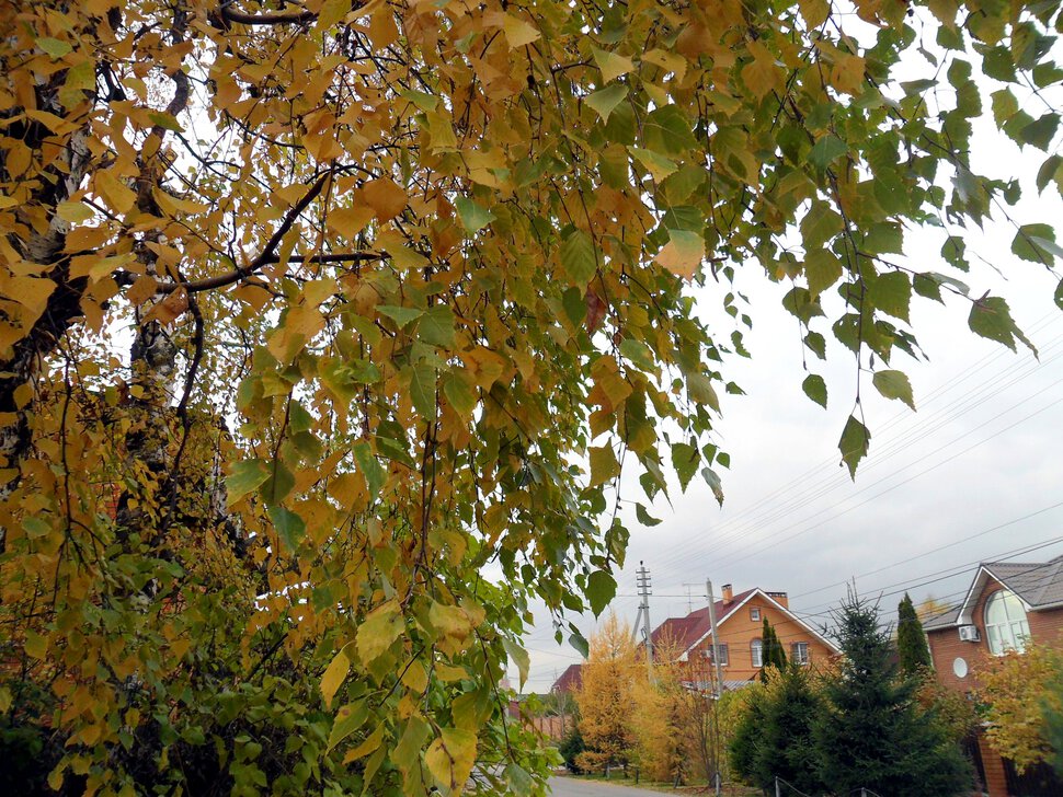 Осеняя палитра октября-красочные пейзажи-II